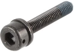 Shimano Vis De Fixation Pour Adaptateur De Frein à Disque Flatmount En PM -Accessoires De Vélo 146661