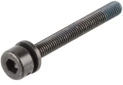 Shimano Vis De Fixation Pour Adaptateur De Frein à Disque Flatmount En PM -Accessoires De Vélo 147125