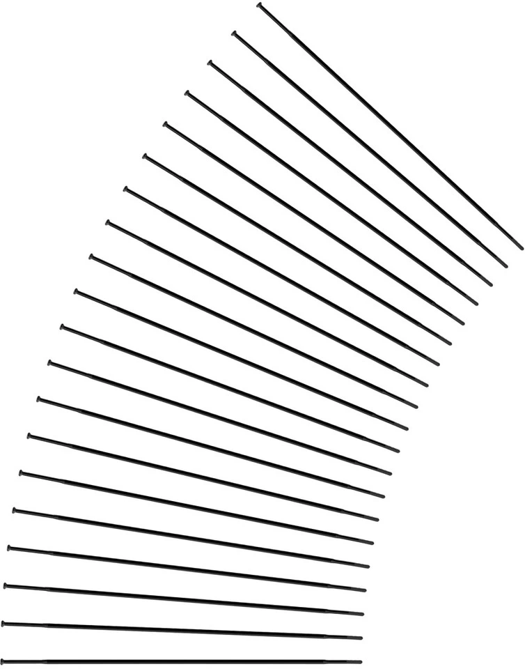 Sapim Rayons CX-Ray Straightpull + Écrous - 20 Pièces - Fin De Série 7 Sapim Rayons CX-Ray Straightpull + Écrous - 20 Pièces - Fin De Série – Image 5