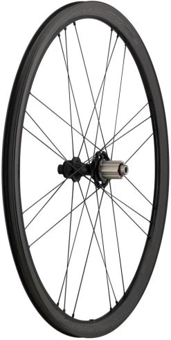 Campagnolo® Set De Roues En Carbone Bora WTO 33 Disc Center Lock 28" -Accessoires De Vélo 318479