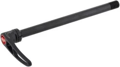 Dt-swiss Axe Traversant RWS Plug-In X-12 MTB Avec Broche De Serrage Rapide