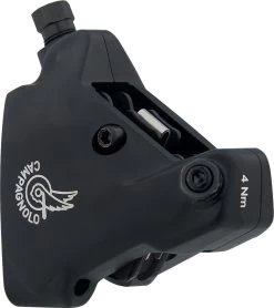 Campagnolo® Frein à Disque Chorus 12s Hydr. Ergopower Levier Frein/Vitesses 2021 -Accessoires De Vélo 398403