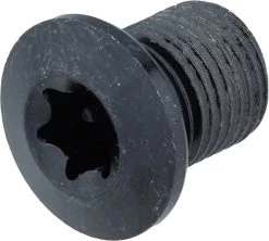 Shimano Vis De Plateau 4 Bras GRX FC-RX810